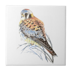Carreau Art de faune d'oiseau de faucon de moineau de