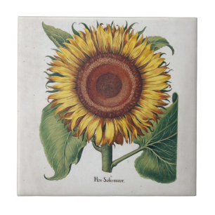 Carreau Art de fleur de damas vintage tournesol