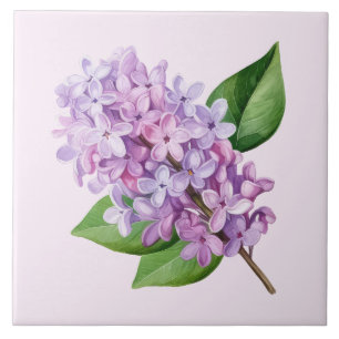 Carreau Art de fleur de lilas sur fond rose