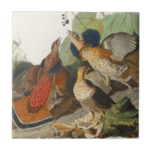 Art de la nature de l'oiseau Tétras du Canada d'Au