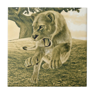 Carreau Art dramatique de la lionne de safari faunique