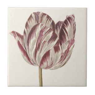 Carreau Art hollandais vintage : Tulipe blanche et rouge