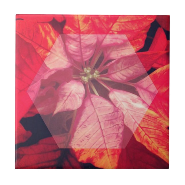 Carreau Art numérique Poinsettia (Devant)