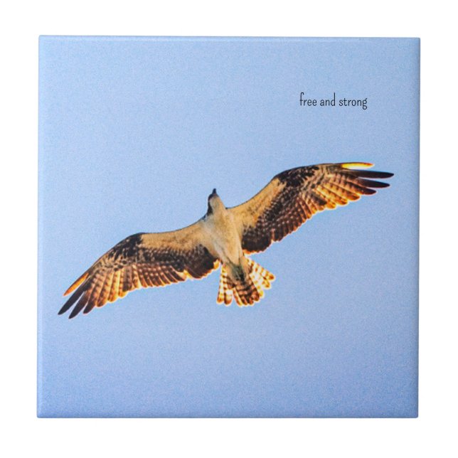 Carreau Art Osprey gratuit (Devant)