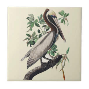 Carreau Art Vintage d'Oiseau Marin Côtier Pélican Brun d'A