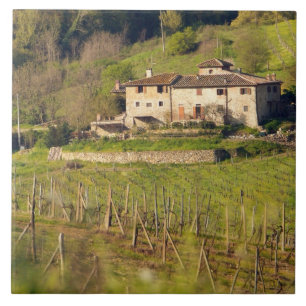 Carreau Aschuito, une ferme qui accueille les clients,