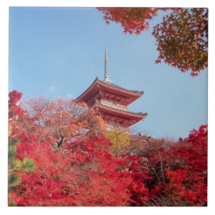 Carreau Asie, Japon, Kyoto. Couleur d'automne