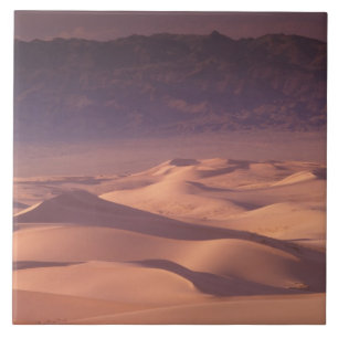 Carreau Asie, Mongolie, Désert de Gobi, Gobi Gurvansaikhan