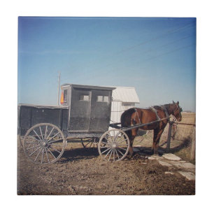 Carreau Attente Amish Cheval et Buggy