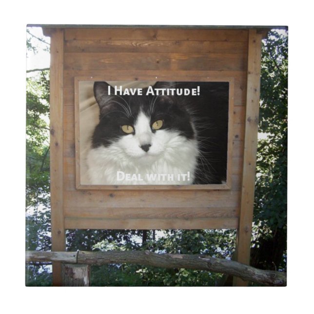 Carreau Attitude du chat (Devant)