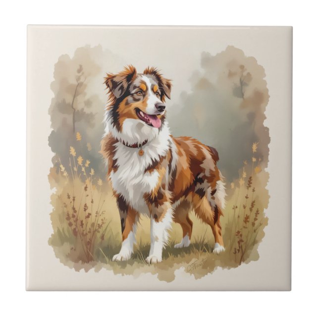 Carreau Australian Shepherd Dog Red Merle Aussie (Devant)