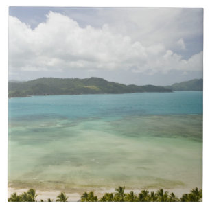 Carreau Australie, Queensland, côte de Whitsunday, 3