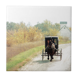 Carreau Automne Amish Horse et Buggy