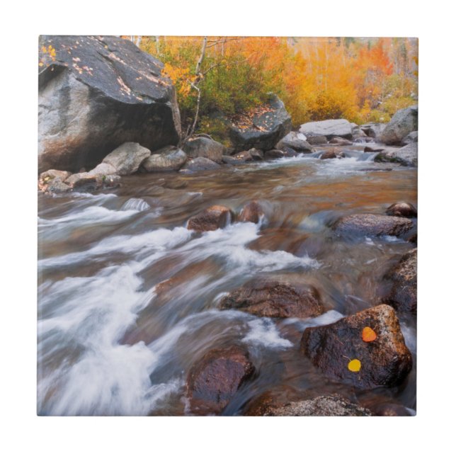 Carreau Automne le long de Bishop Creek, CA (Devant)