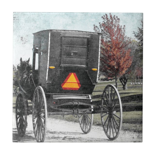 Carreau Autumn Amish Buggy (Devant)