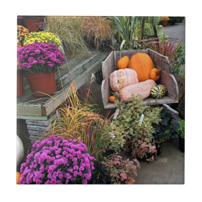 Carreau Autumn Decor (Devant)