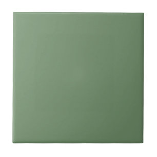 Carreau avec fond vert sauge pastel