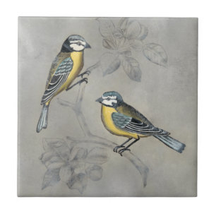 Carreau Aviaire argenté   Couple d'oiseaux