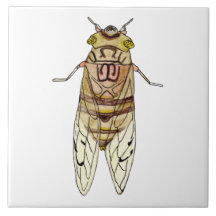 Azulejo de cigarra gigante 