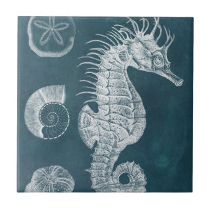 Carreau Azure Seahorse Study I