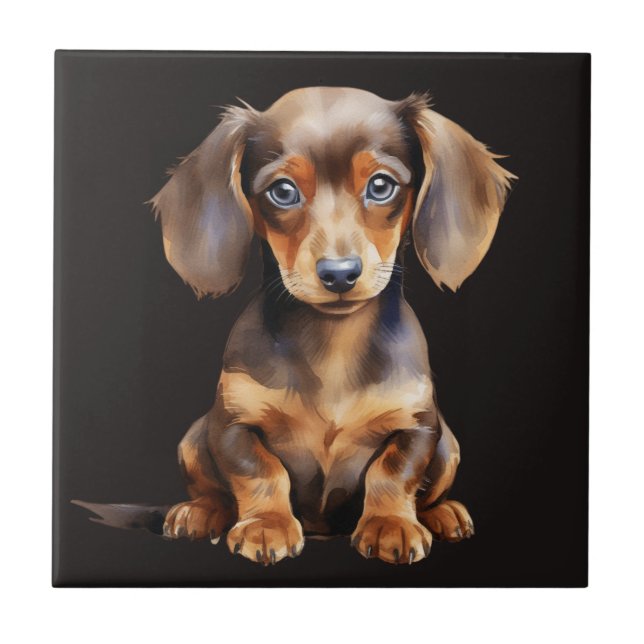 Carreau Baby Dachshund (Devant)