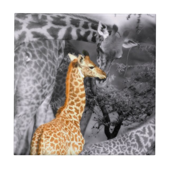 Carreau Baby Giraffe (Devant)