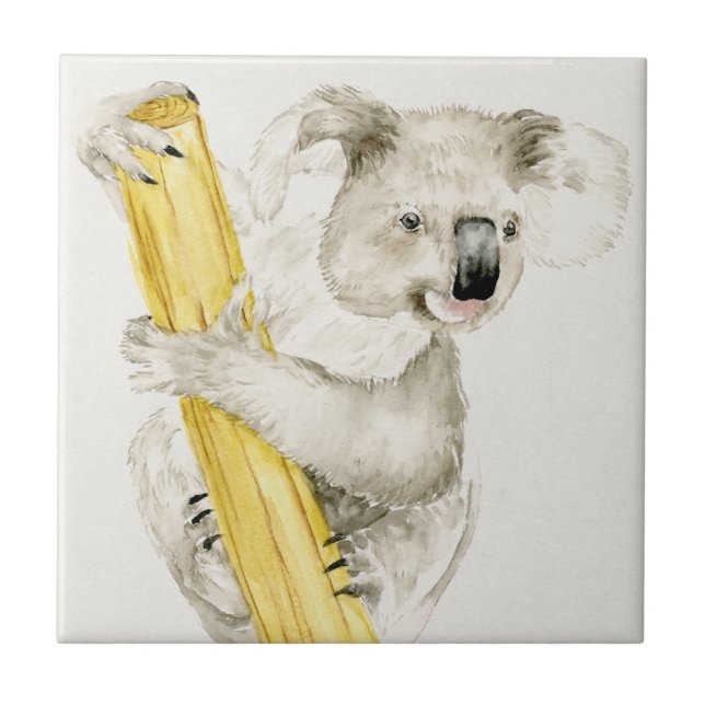 Carreau Baby Koala | Cute & Furry (Devant)
