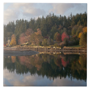 Carreau Baie de Fletcher