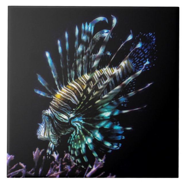 Carreau baignade de poisson lionfish trinket tray (Devant)