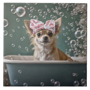 Carreau Bain moussant pour adorable Chihuahua
