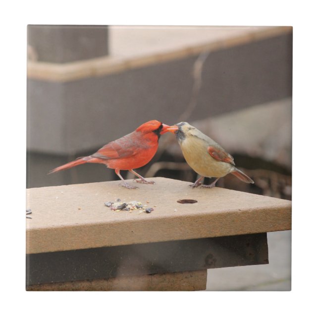 Carreau Baisers des cardinaux (Devant)
