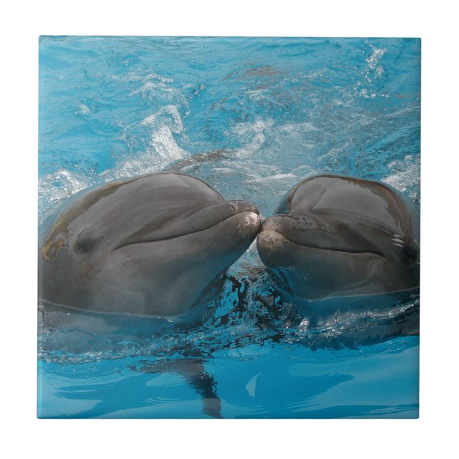 Carreau Baisers des dauphins (Devant)