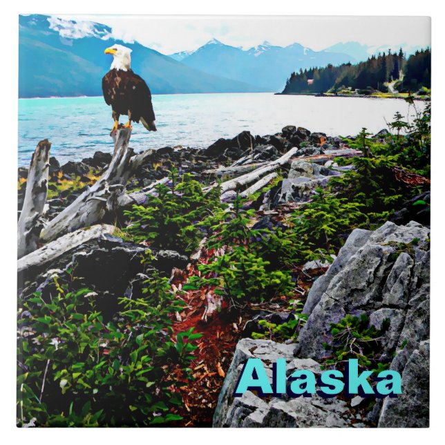 Carreau Bald Eagle Sur La Côte De L'Alaska (Devant)