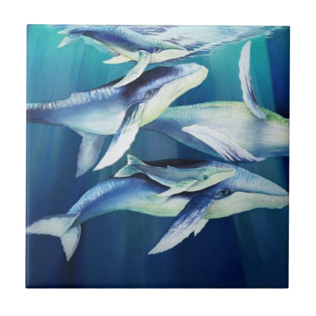 Carreau Baleines de bosse (Devant)