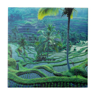 Carreau Bali   Vue d'ensemble des rizières