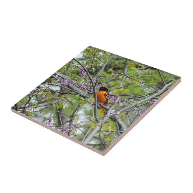 Carreau Baltimore Oriole (Côté)
