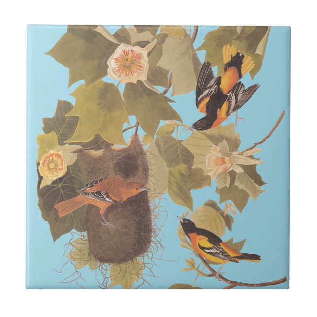 Carreau Baltimore Oriole Audubon Bird Family avec nid (Devant)