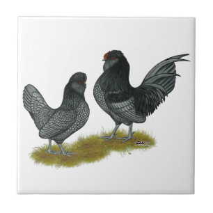 Carreau Bantams de Watermaal belges
