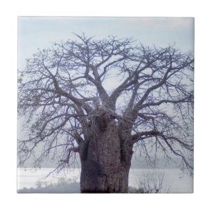 Carreau Baobab (Adansonia Digitata), Luanda