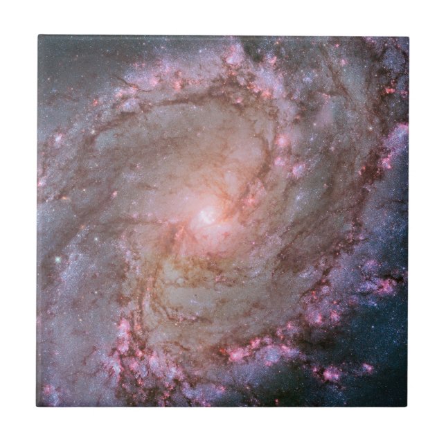 Carreau Barred Spiral Galaxy Messier 83. (Devant)