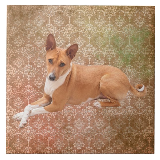Carreau Basenji Dog  (Devant)