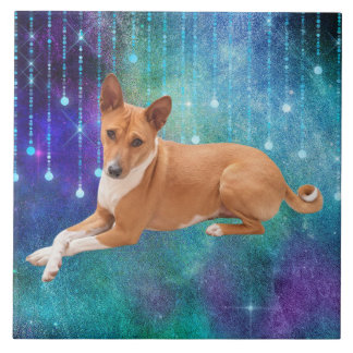 Carreau Basenji Dog 