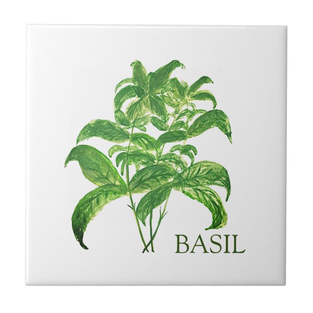Carreau Basil Herb Verdure Cuisine culinaire Vert (Devant)