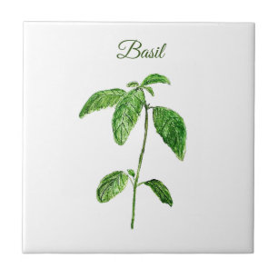 Carreau Basil Herbe Verdure Cuisine culinaire Vert Rustiqu