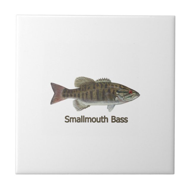 Carreau Basse de Smallmouth (Devant)