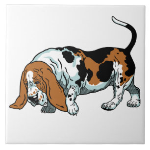 Carreau basset hound