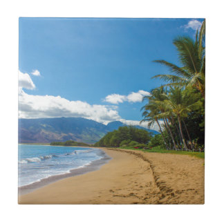 Carreau Beach à Hawaï