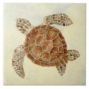 Carreau Beach Sea Turtle Coastal Ocean Seashore Sand