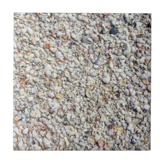 Carreau Beach Shells Sea Shell Arrière - plan Ocean Textur