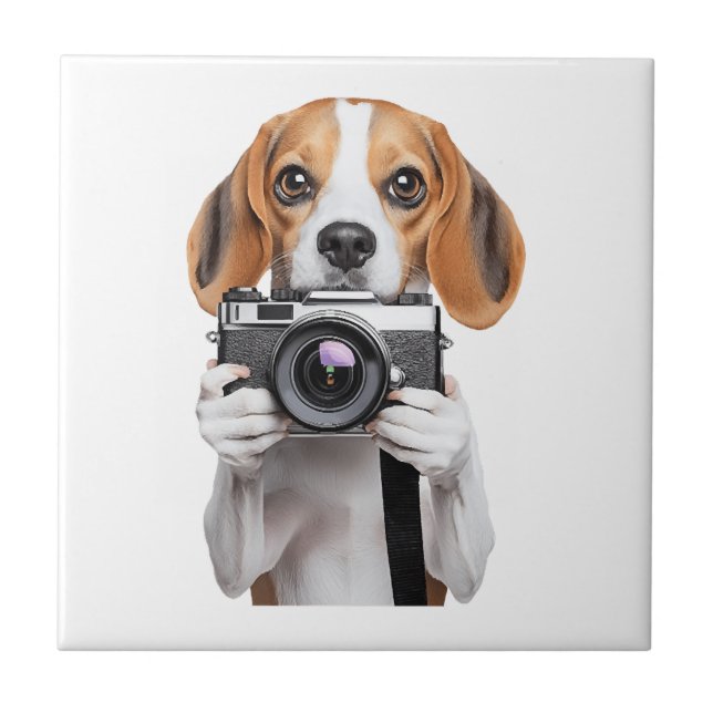 Carreau Beagle (Devant)